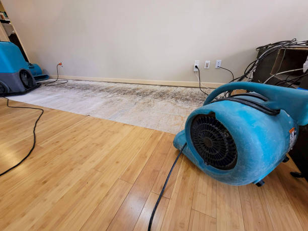 Professional Sewage Cleanup technician working in La Verkin, UT